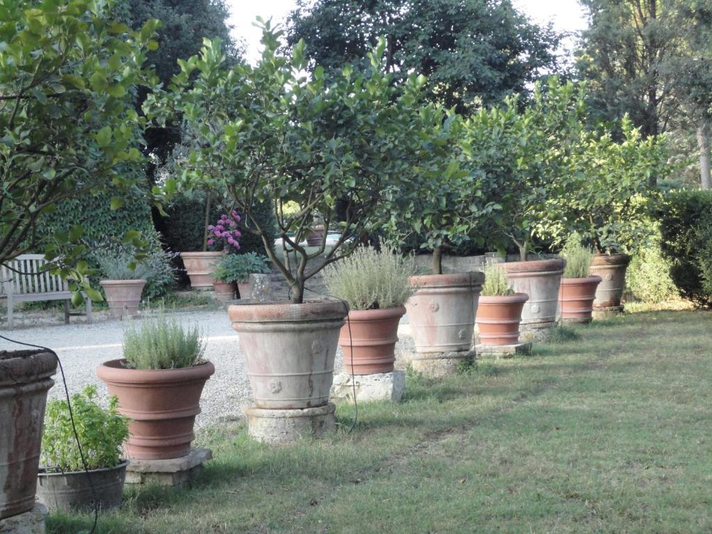 Castello Di San Fabiano Guest House Monteroni d'Arbia Exterior photo